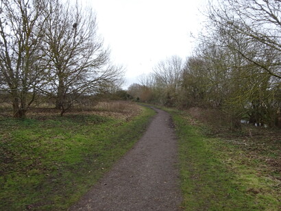 Un visitante que comprende el valor de lo que observa se convierte en un defensor potencial del ambiente. Sendero del Parque Natural Burgess Field, Port Meadow, Oxford, Inglaterra