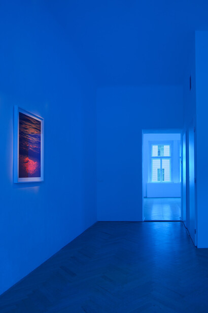 Retaining the energy, but losing the image, installation view. Courtesy of Zahorian & Van Espen