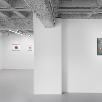 Anca Munteanu Rimnic, Treatise on Bruises, ausstellungsansicht. Mit freundlicher genehmigung der Galerie Plan B