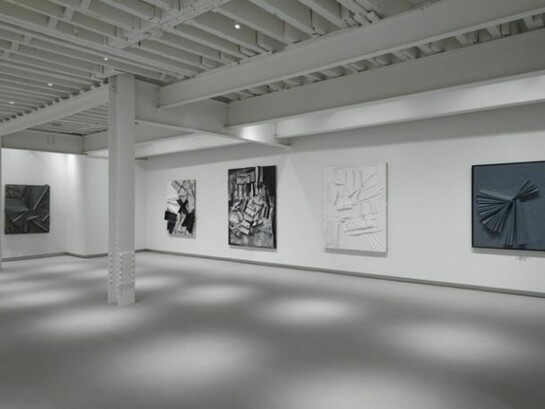 Samantha Thomas, Exhibition view, Landscapification, 2013. Courtesy of the artist and RH Contemporary Art. Photo credit: Adam Reich