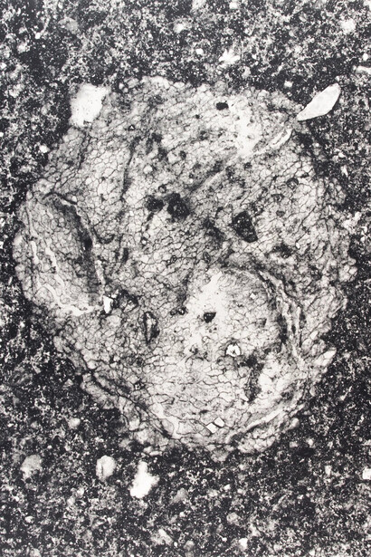 Irving Penn, Underfoot XXXIV, 2000. Courtesy of Pace Gallery