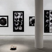 Mess. Courtesy of Tel Aviv Museum of Art