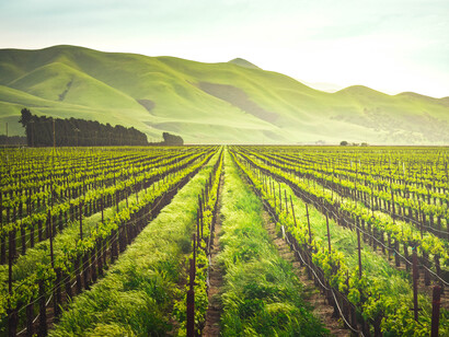 Climate change affects agriculture and growing food