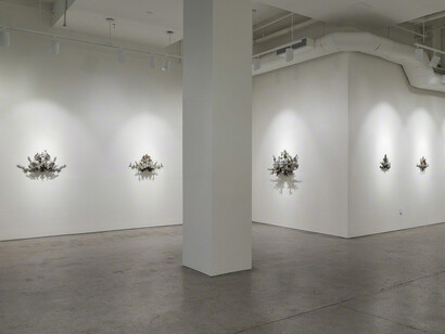 Hallucinatory Enhancements. Courtesy of Joshua Liner Gallery