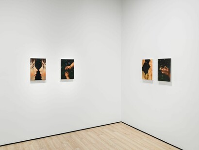 Ted Pim, Loinnir, exhibition view. Courtesy of Almine Rech Gallery