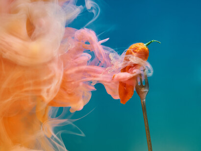 Tripadvisor. Un cineasta e giornalista free lance, il britannico Oobah Butler, per incrementare le sue scarse risorse mensili scriveva sulla piattaforma TripAdvisor recensioni positive su ristoranti dove però non era mai stato