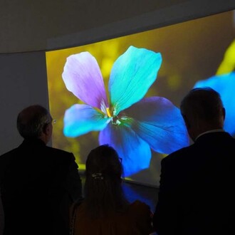 Varios artistas, Laudato sie. Naturaleza y ciencia. La herencia cultural de Fray Francisco, vista de exhibición. Cortesía de Curia Generalizia OFMConv