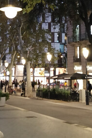 Fotografía de Oscar Farrerons Vidal. Un banco, farola modernista y la encina del Paseo de Gràcia