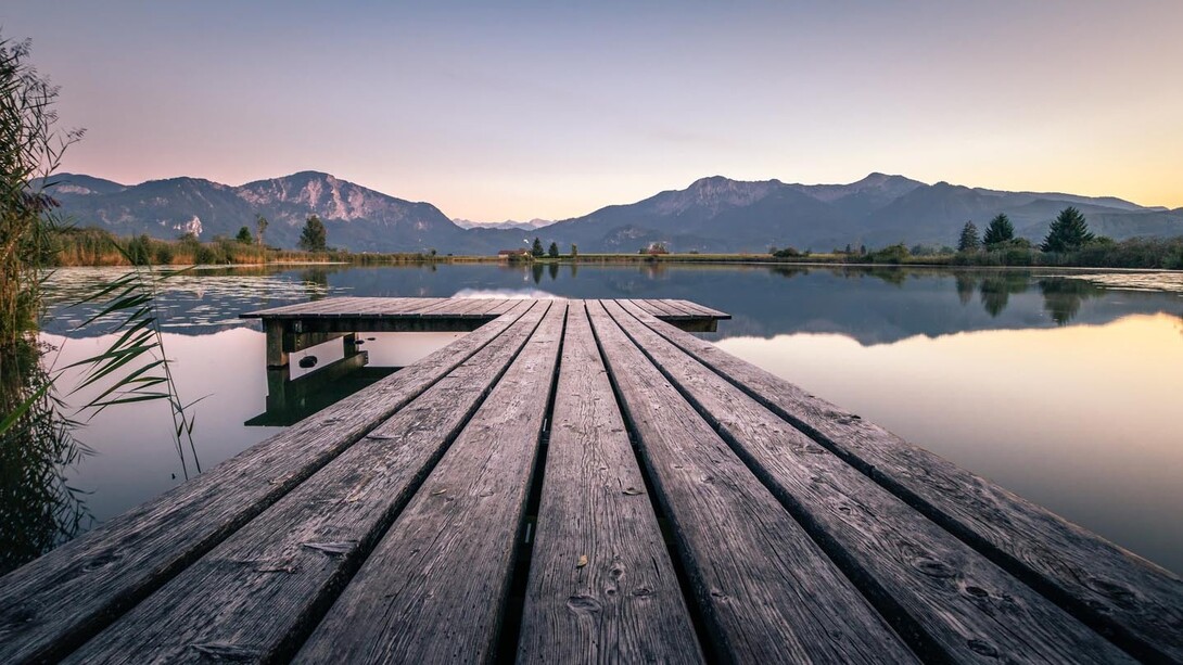 The nature of information