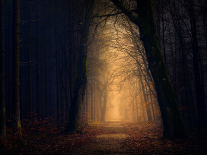 Los caminos enseñan humildad: sin moverse, nos llevan; sin quejarse soportan nuestros pies