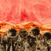 Juan Antonio Guirado, 'Hambrunas perdidas' (Lost Famine), (1995-2005), Courtesy of Guirado Estate/ Copyright Guirado Estate  
 