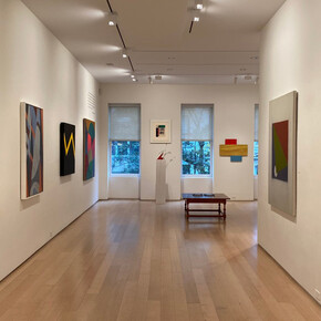 Various artists, A planar garden, exhibition view. Courtesy of Alexandre Gallery