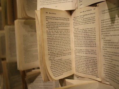 Far scorrere le pagine di un libro il più velocemente possibile con il pollice producendo quel rumorino secco e frusciante