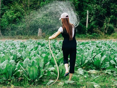 A girl watering her garden