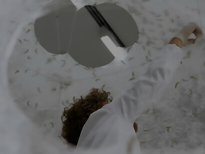 The Silk Pavilion at MIT Media Lab, crafted by silkworms on a suspended frame, designed by Oxman
