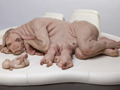 Patricia Piccinini. Courtesy of Arken Museum of Modern Art
