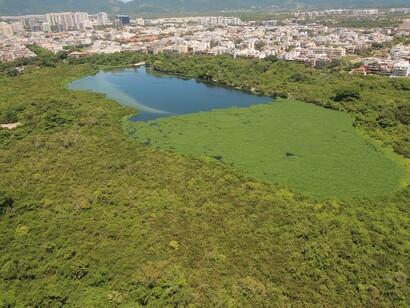 Lagoinha das Taxas tomada 60% gigogas e 40% esgoto