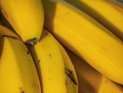Provavelmente você já provou a fruta mais consumida no mundo. Estamos falando exatamente dela, a banana. Se você gosta ou não, aí já é outra história, mas certamente ela já fez ou faz parte da sua dieta. De várias cores, texturas e espessuras, esta fruta é tão versátil quanto a sua própria existência



