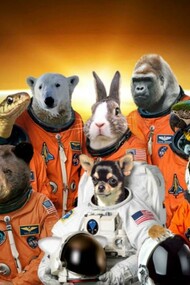 Poster di animali nello spazio