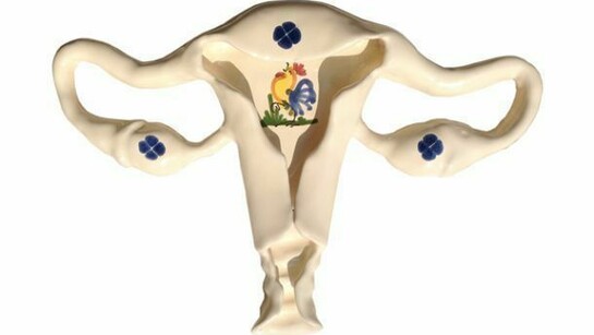 Michele Giangrande, Womb, 2013, ceramic real dimensions. Courtesy Paolo Erbetta Gallery, Berlin.
