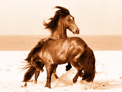 Roberto Dutesco, Fury (8/30), 1994. Courtesy of West Chelsea Contemporary 