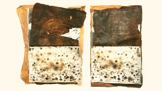 Cordero y Ureña, «Lo que no vemos crece de todas formas». Fotos cortesía de las artistas