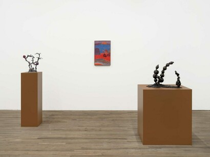 Diambe, honey honey honey, exhibition view. Courtesy of kaufmann repetto
