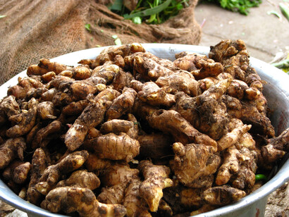 Ingwer, ein Freund unserer Verdauung  