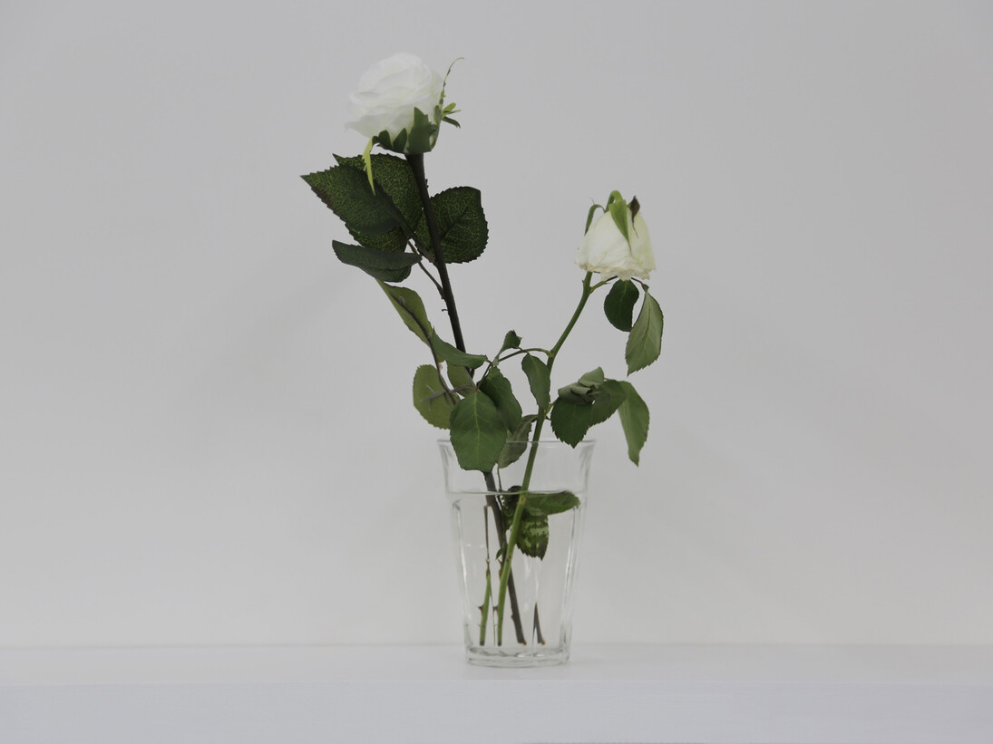 Stéphanie Saadé, Faux-Jumeaux, 2014, rose blanche naturelle, rose blanche artificielle, vaset, 15 x 30 cm, courtesy de l’artiste & galerie anne barrault