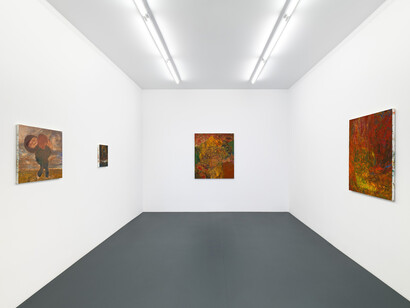 Brett Goodroad, Paradise valley, exhibition view. Courtesy of Michael Werner Gallery