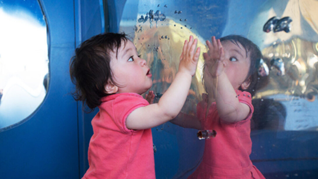 Tot Spot. Courtesy of Bay Area Discovery Museum 