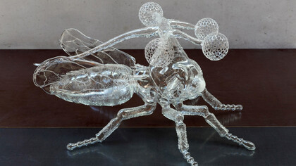 Unknown Species, 2017