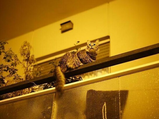 David Hartt, The Republic I, 2014, archival pigment print mounted to Dibond and framed, 59 x 88 1/2 in, 149.9 x 224.8 cm