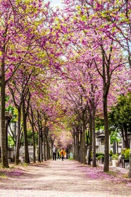 Il cimitero di Montparnasse a Parigi, Francia