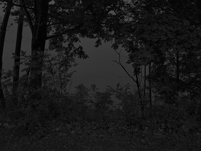 Dawoud Bey, Night coming tenderly, black: untitled #24 (At Lake Erie), 2017. Courtesy of Rena Bransten Gallery
