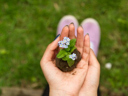 The role of nature 