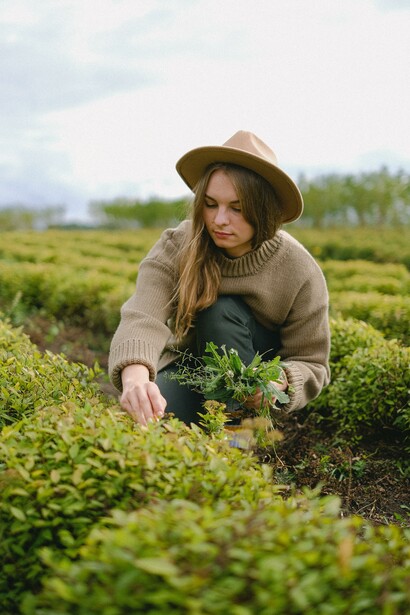 Coltivazioni. Ristabilire i ritmi naturali e non forzare la crescita è ciò che distingue questo tipo di agricoltura da quella industriale, a tutto vantaggio del gusto e della salute