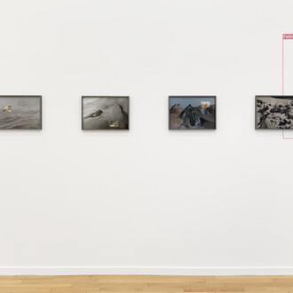 Ornella Fieres, We will all be here always, 2023, installation view, © Ornella Fieres. Courtesy of signs and symbols, New York