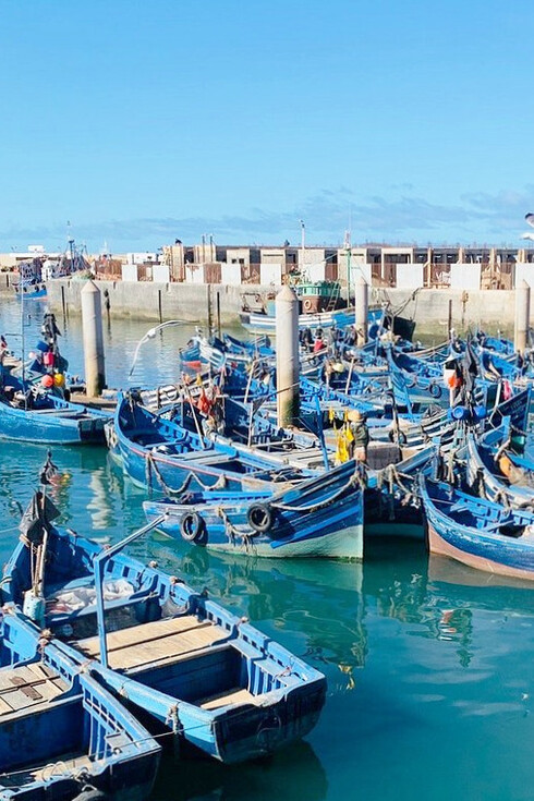 The blue boats of Essaouira's port embody the city's historic role as a beacon of tolerance, where the rhythms of daily life reflect centuries of peaceful coexistence