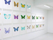 Damien Hirst. Courtesy of Samuel Owen Gallery