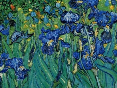 Vincent Van Gogh - Iris