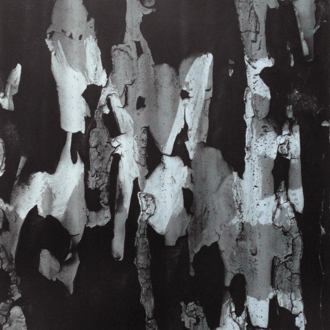 Aaron Siskind. Courtesy of Galerie Julian Sander