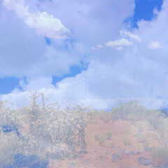 Mi tierra. Courtesy of Denver Art Museum 