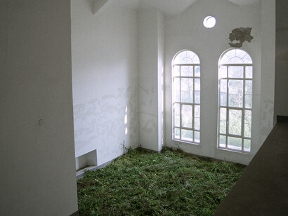 Grass Summer 1