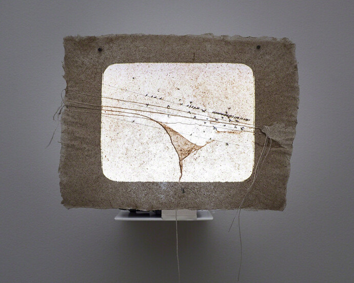 Amar Kanwar. Courtesy of Marian Goodman Gallery