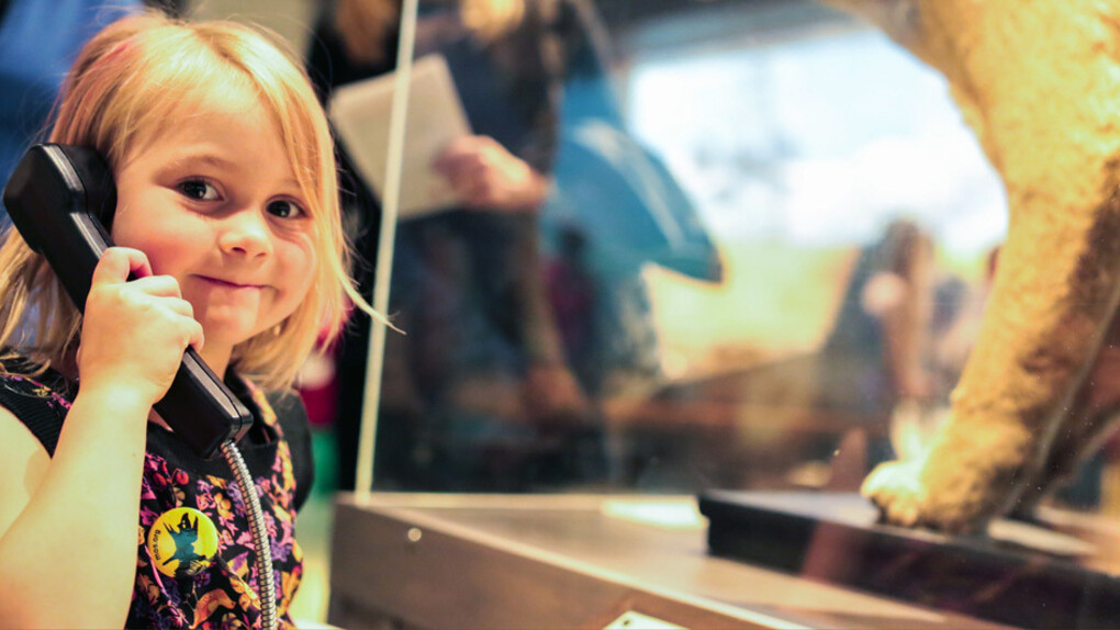 New England Habitats. Courtesy of Museum of Science