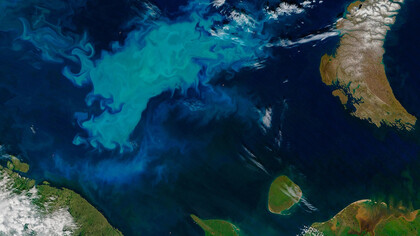 O fitoplâncton nos oceanos é um dos pulmões da terra
