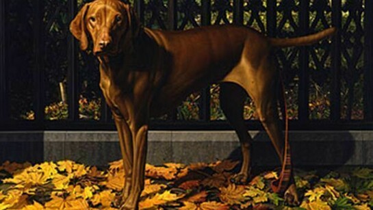 Stone Roberts, Lulu, near Harmony on Main: Stonington 2007, 2007-08, Oil on linen, 36 x 41 in.