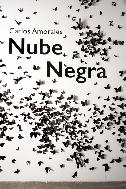 Carlos Amorales, Nube negra, vista de exhibición. Cortesía de la Fundación Casa de México en España
