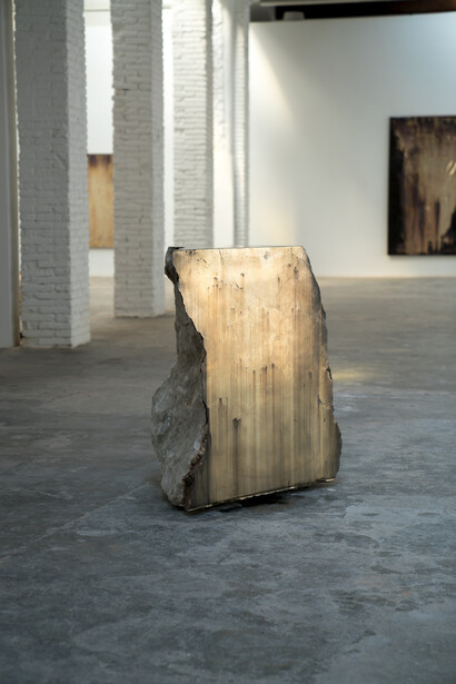 Michael Joo. Courtesy of Galeria Carles Taché